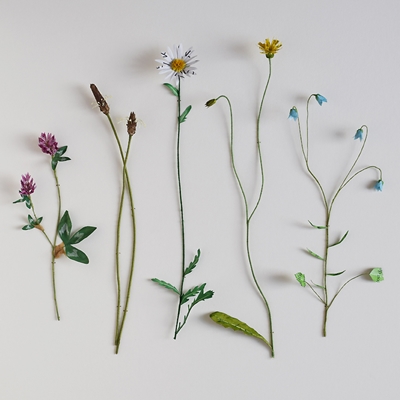Book Art Workshop with Kate Kato - Flowers