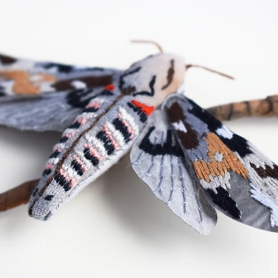 Book Art Workshop with Kate Kato - Moths