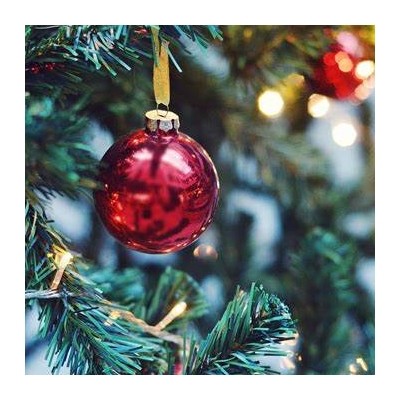 The Hay Castle Christmas Carol Concert