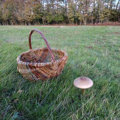 Basket Weaving Workshop