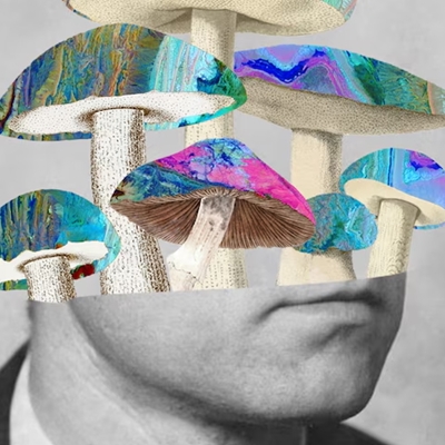 Mushrooms and Mental Health