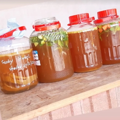 Fungi Town: Kombucha Workshop