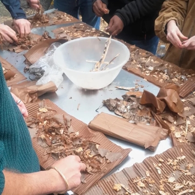 Introduction to Mushroom Cultivation