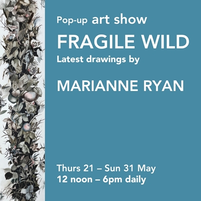 Pop-up Art Show by Marianne Ryan