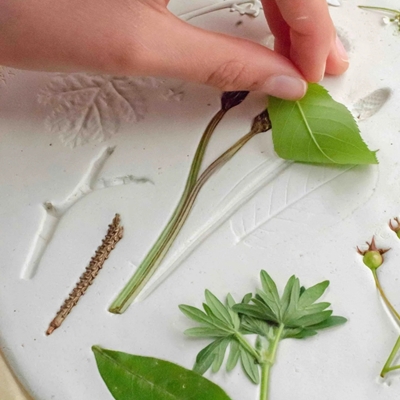 Botanical Plaster Plaque Making
