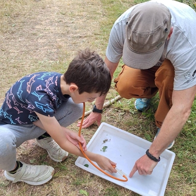 Soil Safari Workshop
