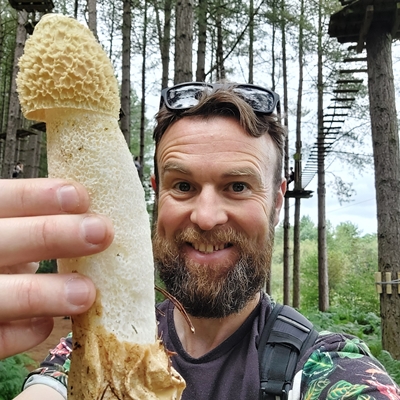 FUNGI TOWN: Rotters and Stinkers - A guide to stinkhorns and others FUNGI TOWN: Rotters and Stinkers - A guide to stinkhorns and others