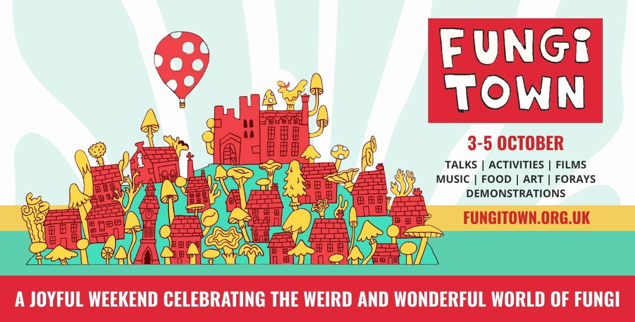 Fungi Town