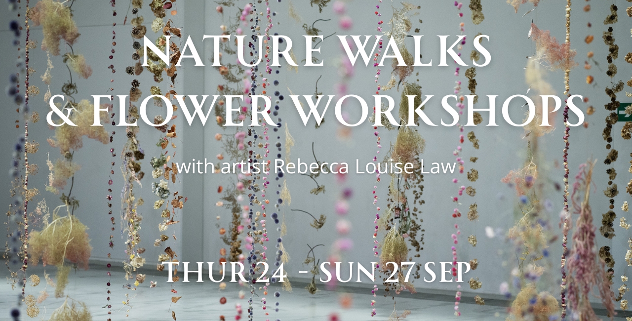 Rebecca Louise Law