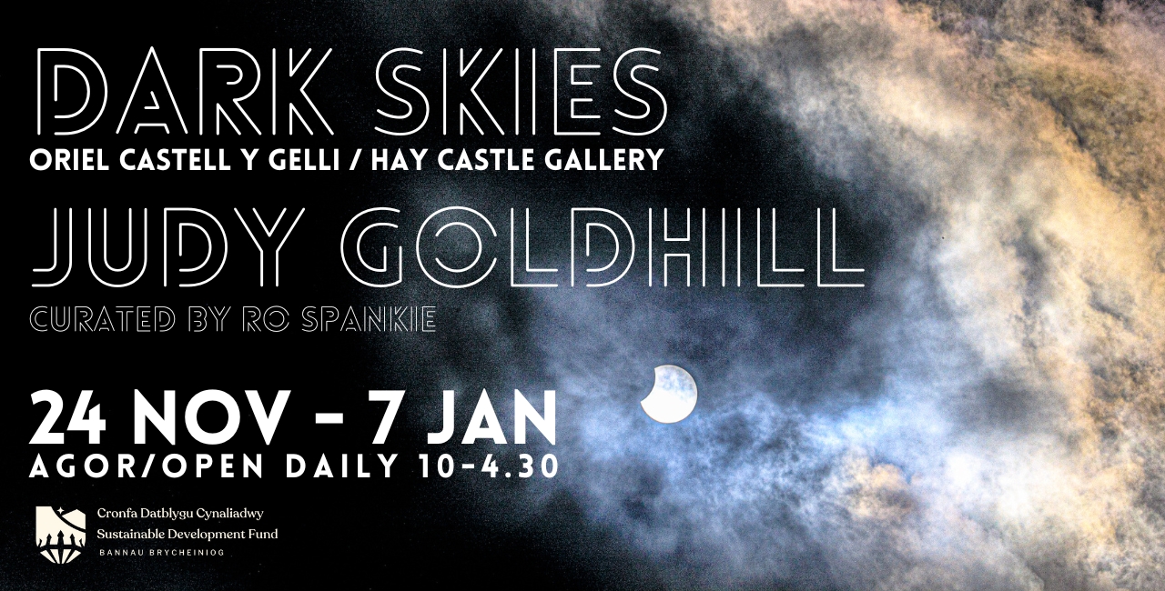 Dark Skies Judy Goldhill